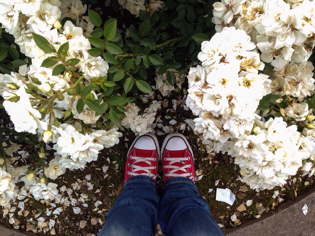 fiori bianchi e scarpe rosse